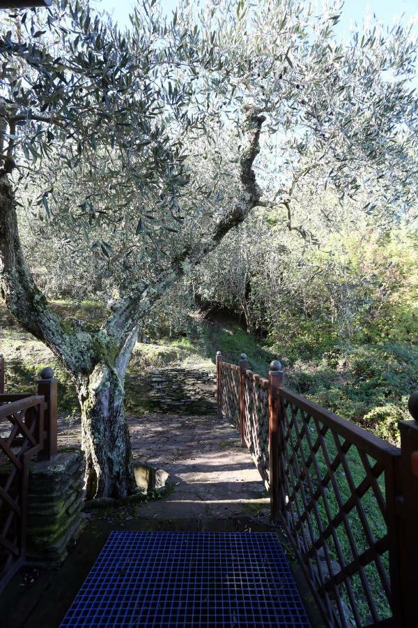 Гостевой дом Molino Del Rotone Buti Экстерьер фото